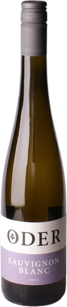 Flasche ODER Sauvignon Blanc trocken 2023